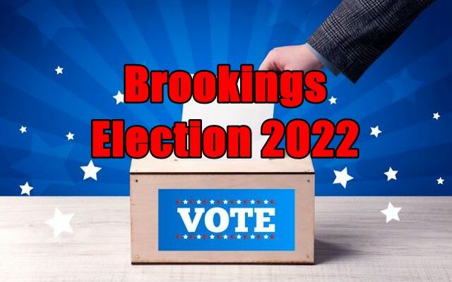 Leah Brink seeks reelection to the Brookings City Council