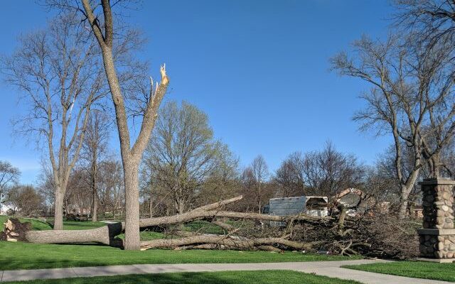 City of Brookings to conduct one more round of storm cleanup