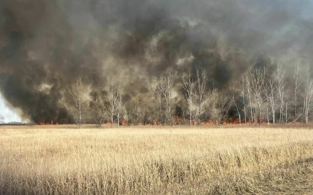 Several departments assist with grass fire north of Astoria